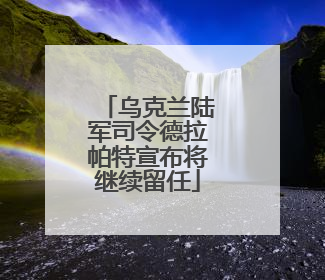 乌克兰陆军司令德拉帕特宣布将继续留任
